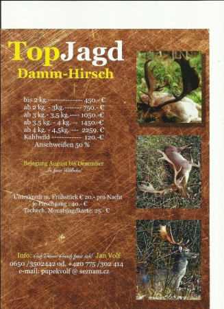 Top Jagd